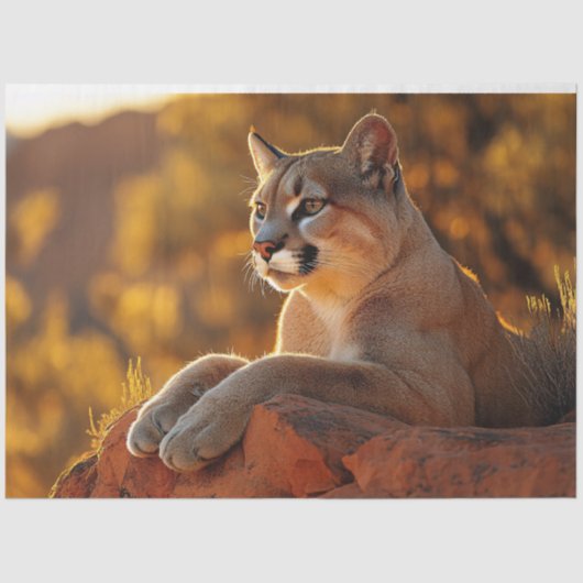 Regal Mountain Lion Landschaftlich Decoupage Seidenpapier (Vorderseite)