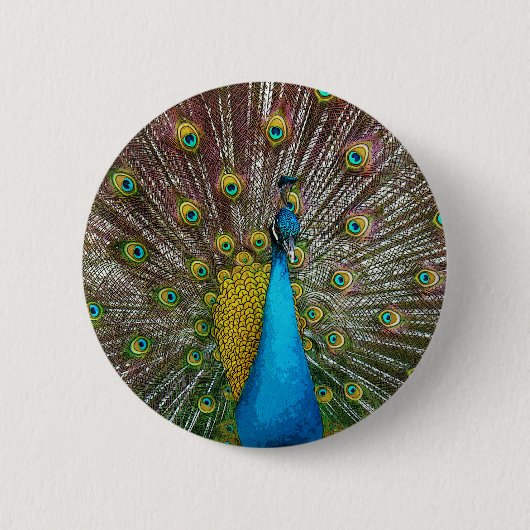 Regal Peacock Bird mit Aquamarinem und Goldplumage Button (Vorderseite)