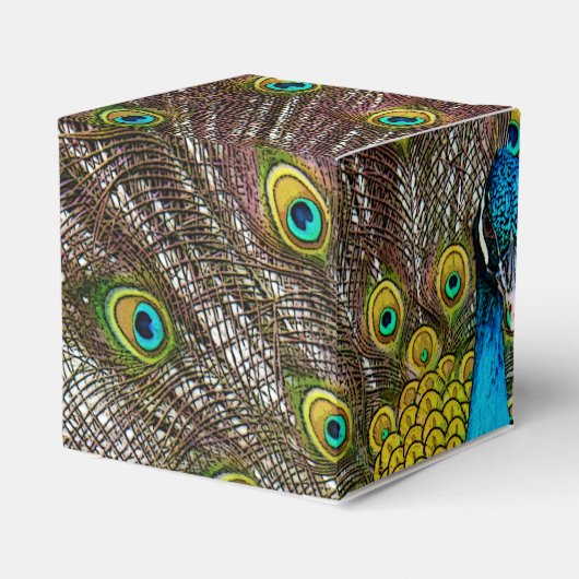 Regal Peacock Bird mit Plumage auf Anzeige Geschenkschachtel (Rückseite)