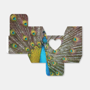 Regal Peacock Bird mit Plumage auf Anzeige Geschenkschachtel