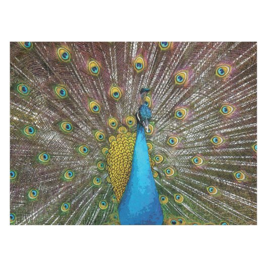 Regal Peacock mit Aquamarinem Blau und Goldplumage Tischdecke (Vorderseite (Horizontal))