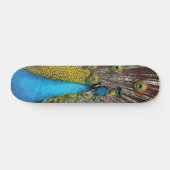 Regal Peacock mit Aquamarinen Blue and Gold Feathe Skateboard (Horizontal)