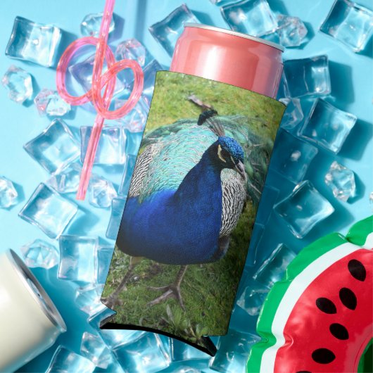 Regal Peacock Power Cooler Selters Dosenkühler (In Situ Sommer)