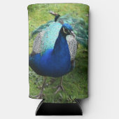 Regal Peacock Power Cooler Selters Dosenkühler (Vorderseite)