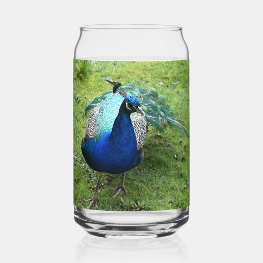 Regal Peacock Power Dosenglas (Vorderseite)