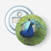 Regal Peacock Power Flaschenöffner (Vorderseite)