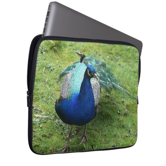 Regal Peacock Power Laptopschutzhülle (Vorne Rechts)