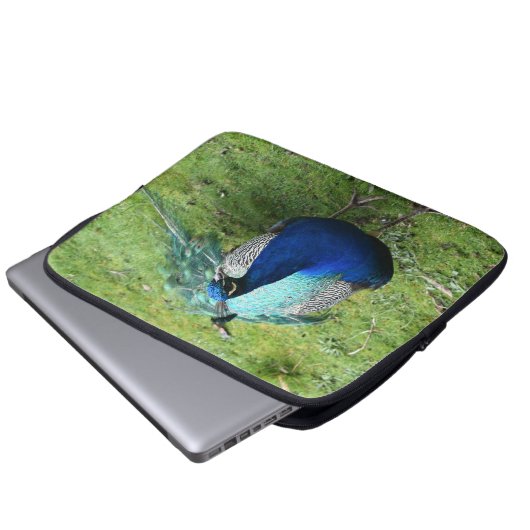 Regal Peacock Power Laptopschutzhülle (Vorne Knopf)