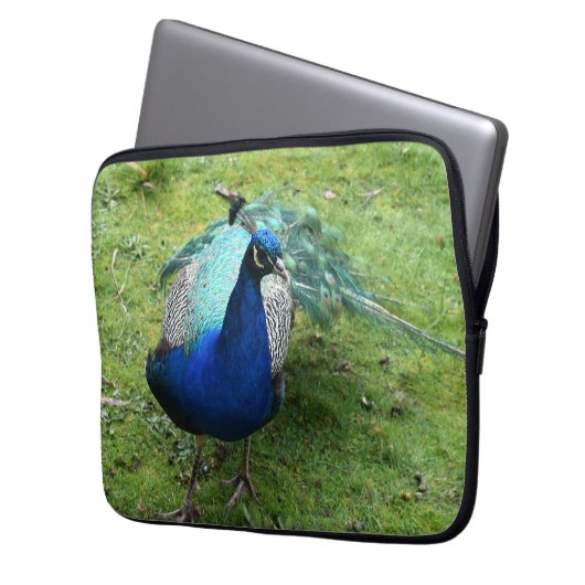Regal Peacock Power Laptopschutzhülle (Vorderseite Links)