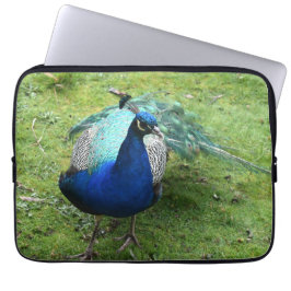 Regal Peacock Power Laptopschutzhülle
