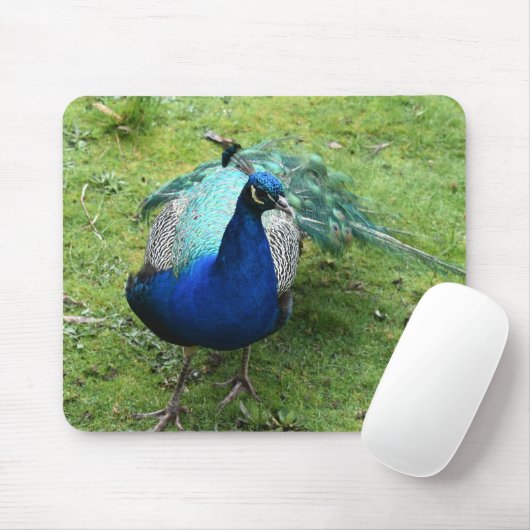 Regal Peacock Power Mousepad (Mit Mouse)