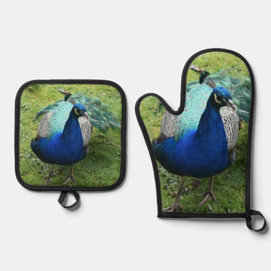 Regal Peacock Power Ofenhandschuh & Topflappen-Set (Vorderseite)