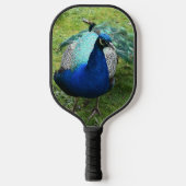 Regal Peacock Power Pickleball Schläger (Vorderseite)