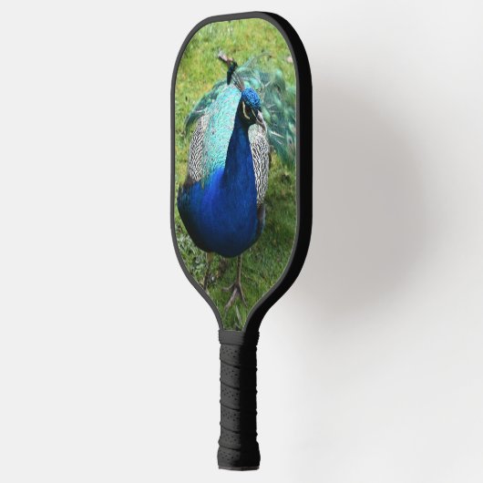 Regal Peacock Power Pickleball Schläger (Links)