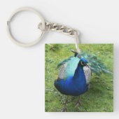 Regal Peacock Power  Schlüsselanhänger (Vorderseite)