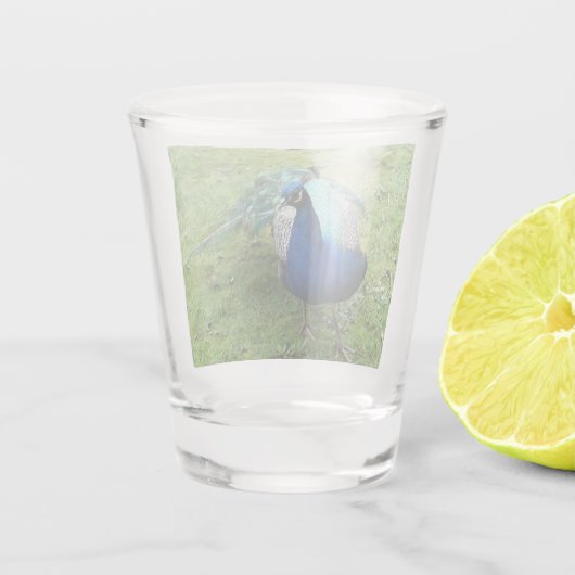 Regal Peacock Power Schnapsglas (Rückseite)