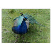 Regal Peacock Power Schneidebrett (Vorderseite)