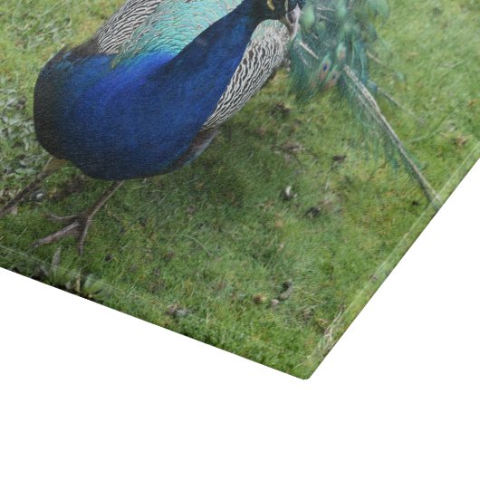 Regal Peacock Power Schneidebrett (Ecke)