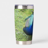 Regal Peacock Power Thermobecher (Vorderseite)