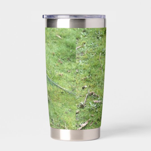 Regal Peacock Power  Thermobecher (Rechts)