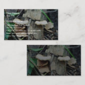 Regal-Pilz Visitenkarte (Vorne/Hinten)