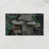 Regal-Pilz Visitenkarte (Rückseite)