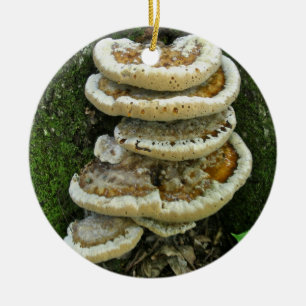 Regal-Pilze auf Stumpf Keramik Ornament