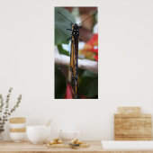 Regal Posed Monarch Poster (Küche)