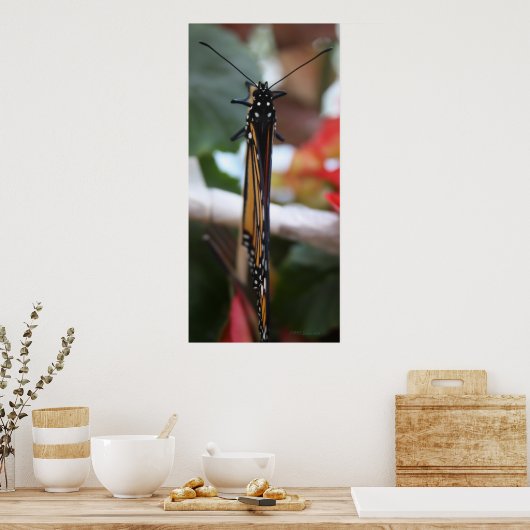 Regal Posed Monarch Poster (Küche)