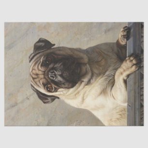 Regal Pug Dekorative Papiere Seidenpapier