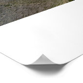 Regal Rainier Poster (Ecke)