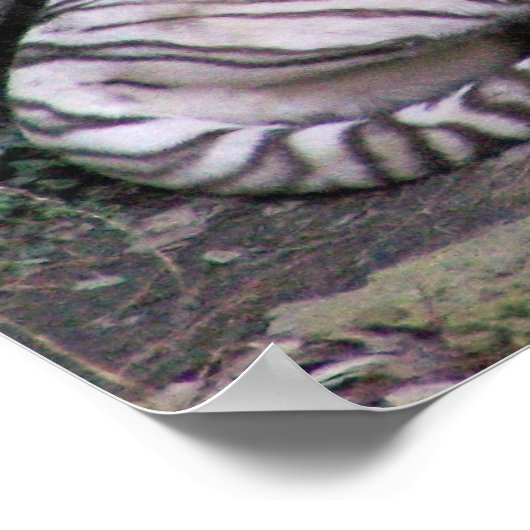 Regal Repose Poster (Ecke)