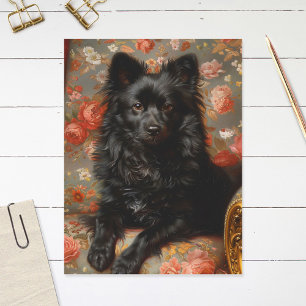 Regal Schipperke Hund Vintage Postkarte