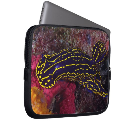 Regal Sea Goddess NudiBranch Felimare picta Laptopschutzhülle (Vorne Rechts)