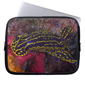Regal Sea Goddess NudiBranch Felimare picta Laptopschutzhülle