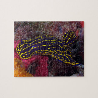 Regal Sea Goddess NudiBranch Felimare picta Puzzle