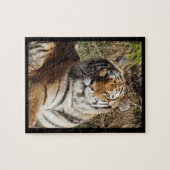 Regal Tiger Puzzle (Horizontal)