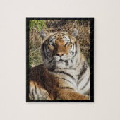 Regal Tiger Puzzle (Vertikal)