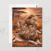 Regal Trio Ruhen in der Natur Postkarte (Vorne/Hinten)