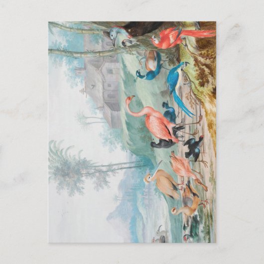 Regal Vögel Postkarte (Vorderseite)