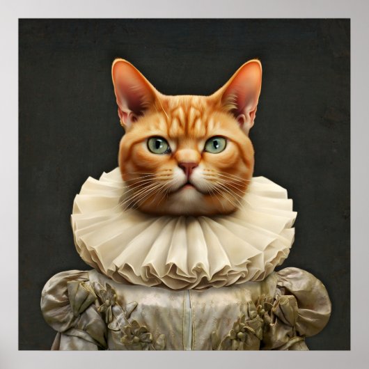 Regalkatze Poster (Vorne)