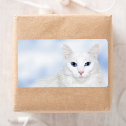 Regalweiße Katze (Insitu)