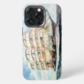 Regata Cutty Shark iPhone Hülle (Hinten)