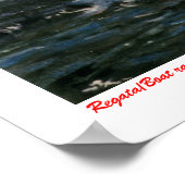 Regatta/Boat race Poster (Ecke)