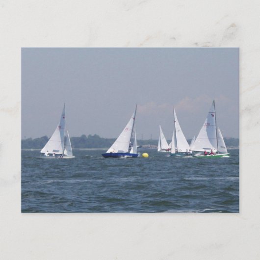 Regatta Sailing Postcard Postkarte (Vorderseite)