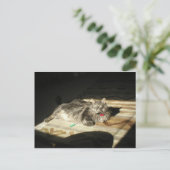 Regel für coole Katzen Postkarte (Stehend Vorderseite)