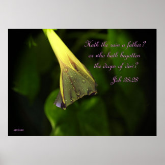 Regen am Morgen - Poster