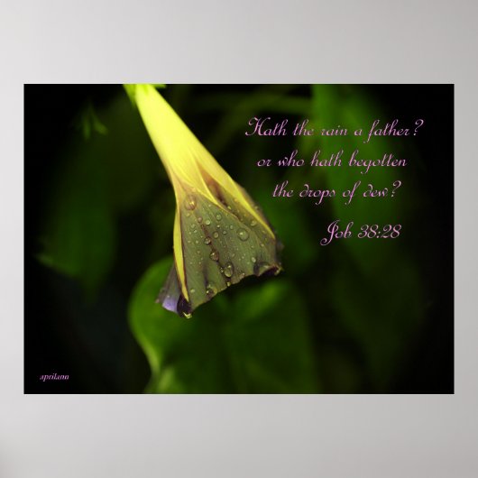 Regen am Morgen - Poster (Vorne)