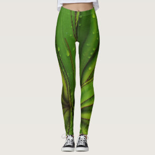 Regen am Vormittag auf der Schraubenkiefer Leggings