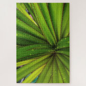 Regen am Vormittag auf der Schraubenkiefer Puzzle (Vertikal)